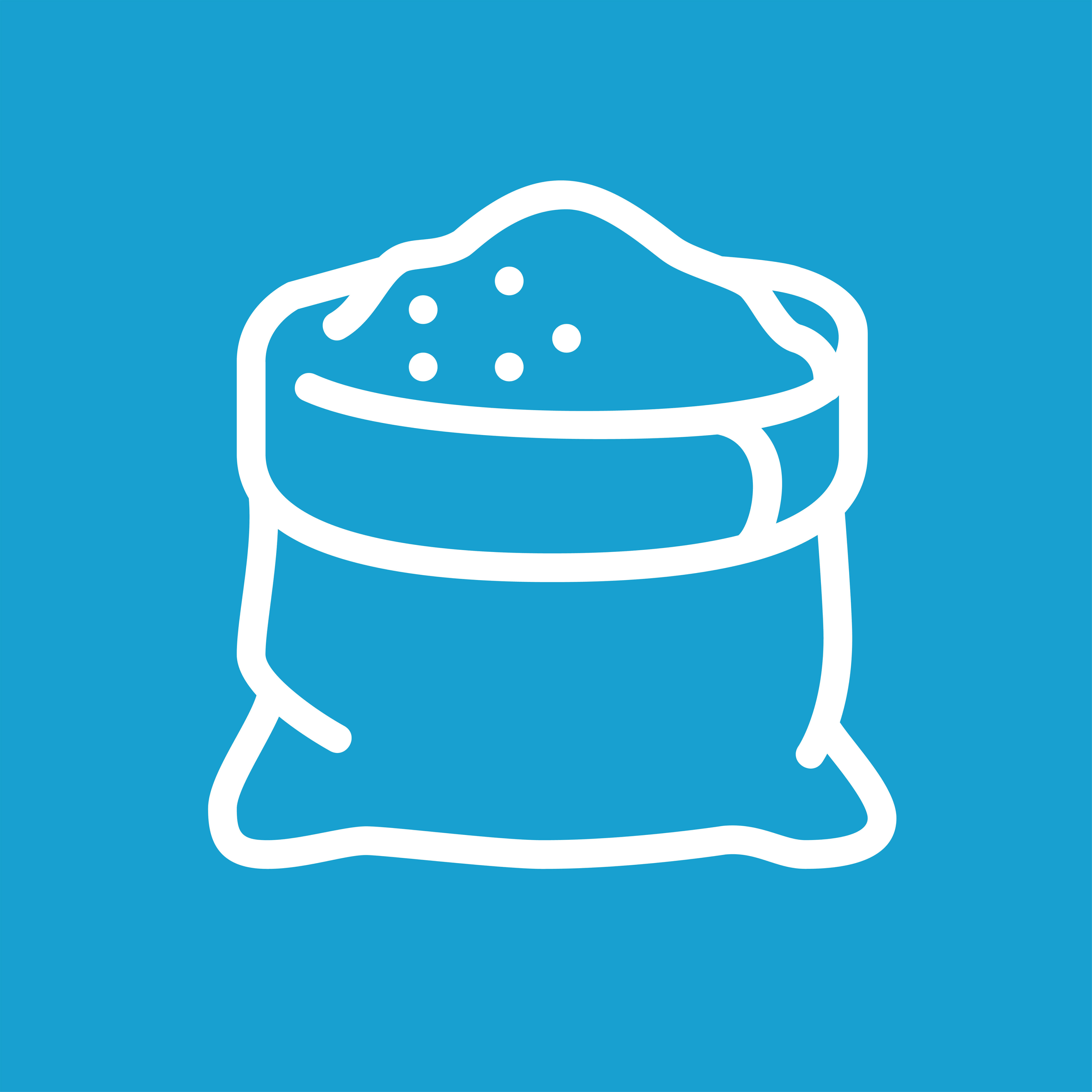 Flour & Derivatives