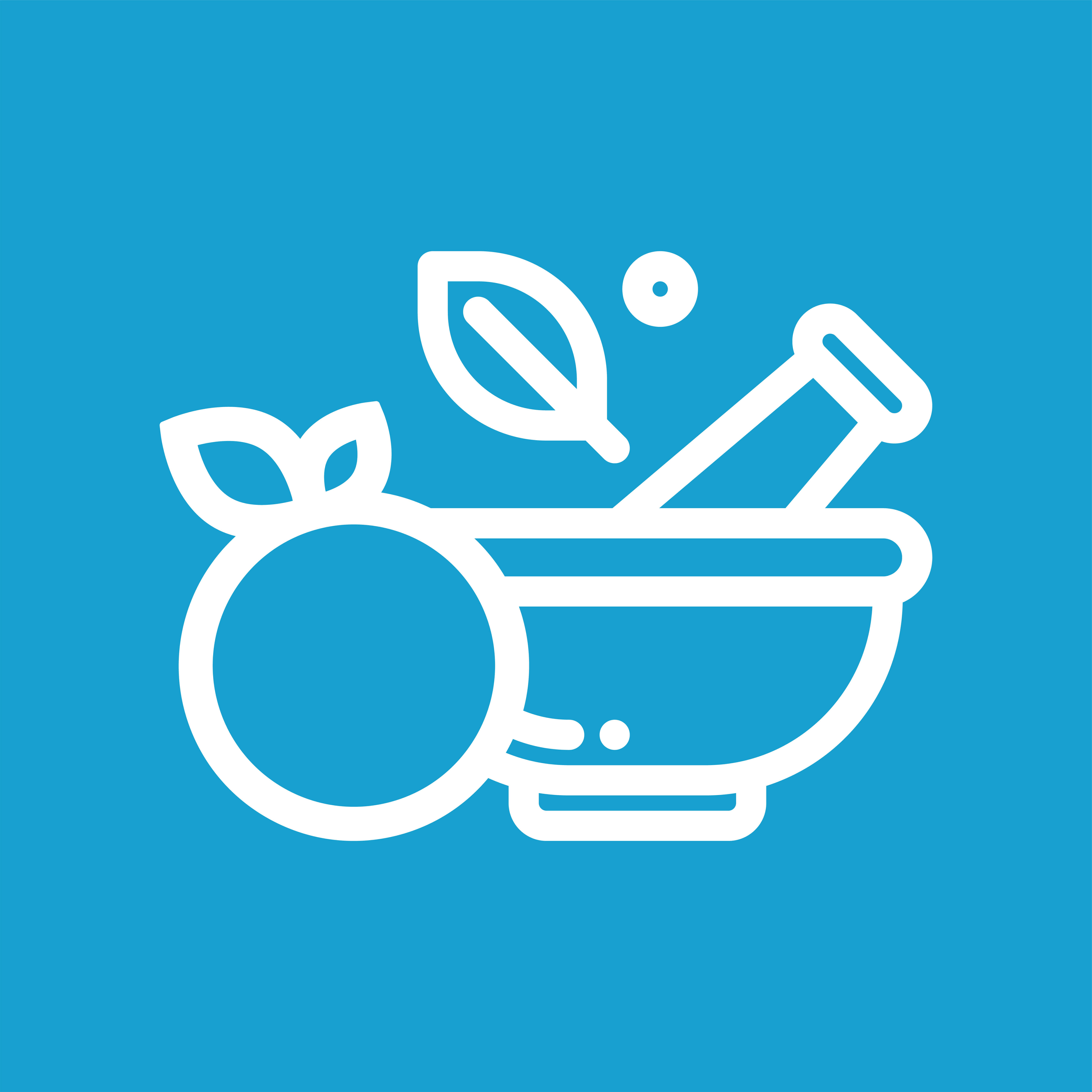 Extracts from Vegetables, Herbs and Fruits