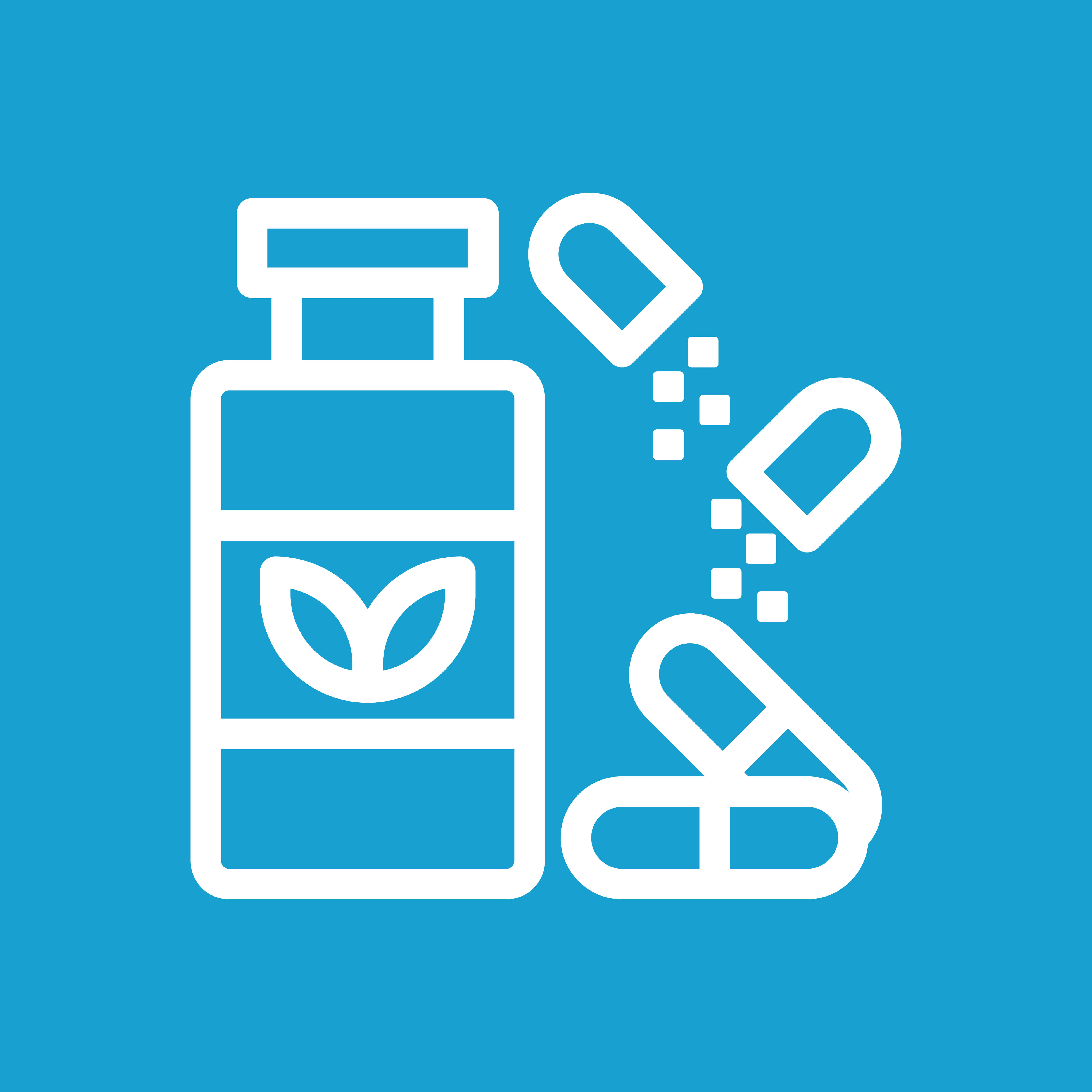 FOOD SUPPLEMENT