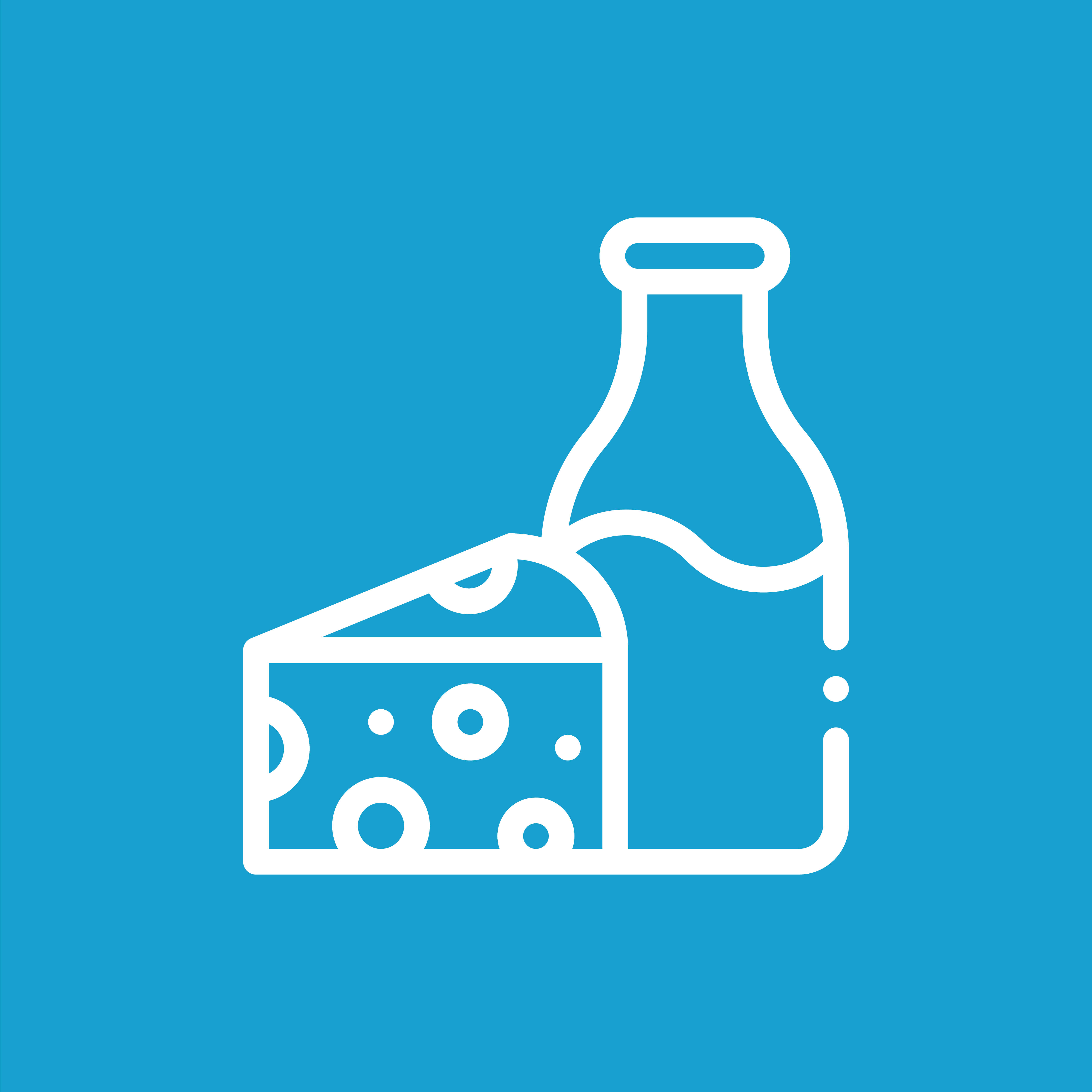 DAIRY PRODUCT